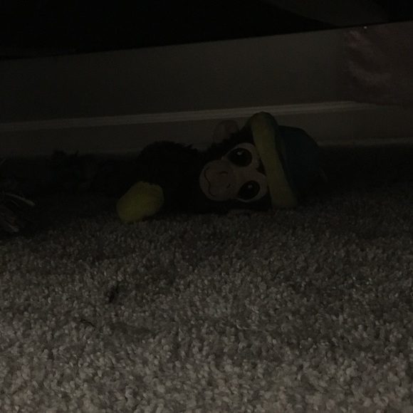 Meet your Posher, Ashley - Picture 1 of 1